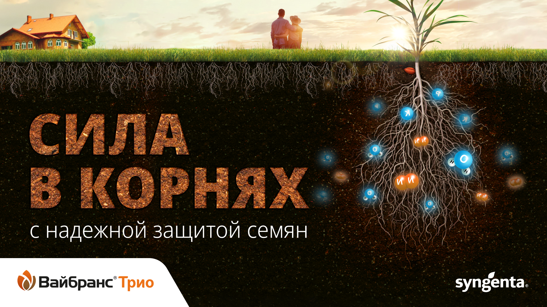 ВАЙБРАНС® Трио - надежная защита семян